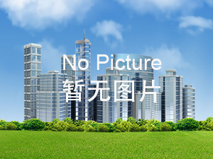 公示流程示例